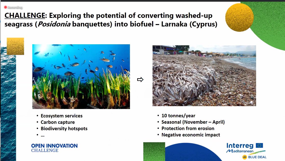 bluedeal_med's tweet photo. #HappeningNow #BDCapLab
🗣️@thitonon from University of York present their idea to transform poseidonia into biofuels and chemicals by using beached seagrass for bioenergy production
#bluegrowthcommunity https://t.co/8R6GPbu94p