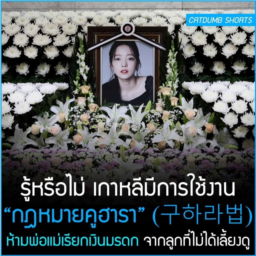 เอาเลย บังคับใช้ในไทยเลยได้ไหม สมควรมีกฎหมายนี้จริงๆ!!!