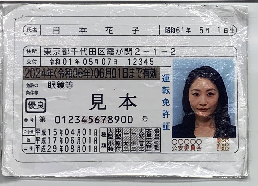 ロシアでポケモンgo パチリスをシベリアに捕まえに行ってきた ロシア人彼女と日本人彼氏の遠距離恋愛ブログ