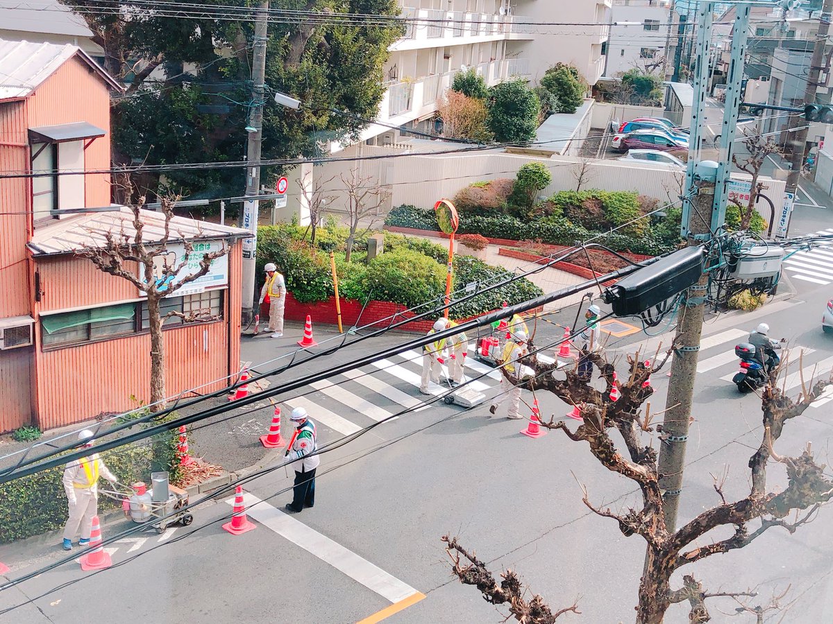 michinosaki_'s tweet photo. こんにちは、いいお天気ですね☀️
ふと外に目を向けると、横断歩道がお化粧直ししていました✨
なかなか見られる機会がないのでちょっとテンション上がります!
(看板娘 玉手) #ミチノサキ #武蔵小山 #西小山 #目黒 #mSITEr #PARUTA #レンタルスペース #横断歩道 https://t.co/LdGrE9laDi