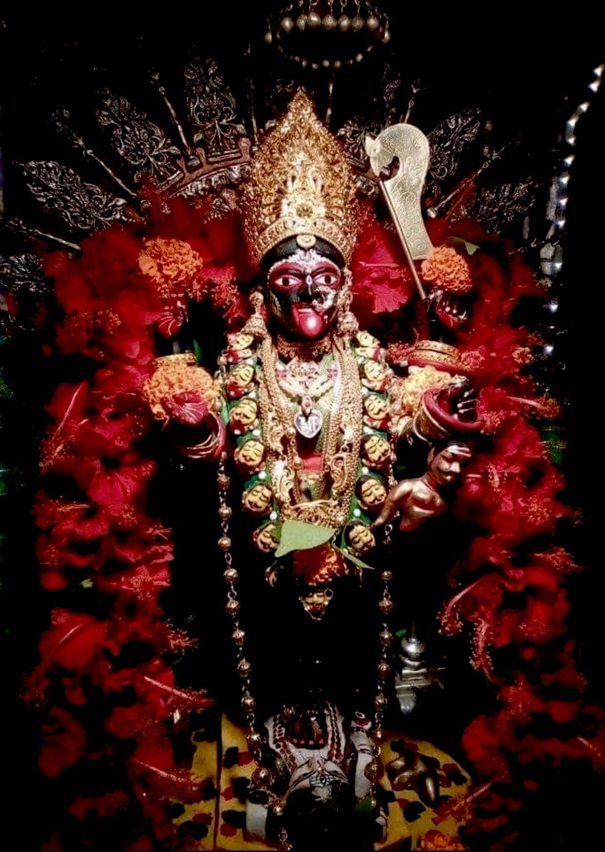 Jaya_Upadhyaya on X: JAPAKUSUM HIBISCUS: FAVOURITE OF DEVI Japa flowers  are used to worship Ma Durga Kali. As Ma Lalita, her glowing complexion is  compared to Hibiscus in the Lalitopakhyana. Hibiscus is