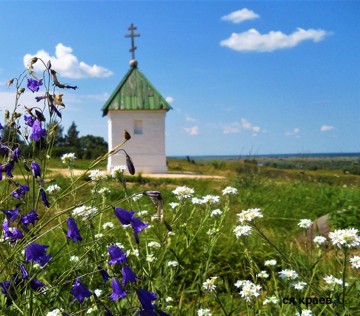 Красоты России tweet media