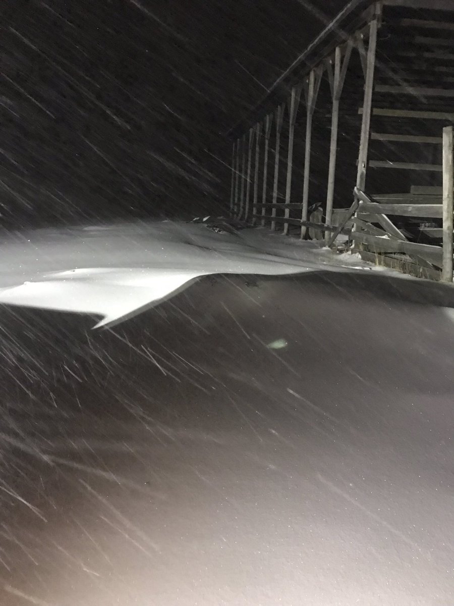 Stach Farms Charolais,Karen Stach tweet media