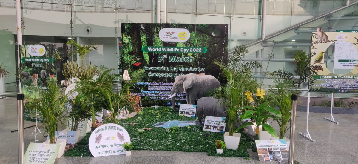 lkoairport's tweet photo. On #WorldWildlifeDay, #LucknowAirport pledged to protect the wildlife and spread awareness through activities like Nukkad Naatak, a 'Jungle Safari' showcasing endangered species, sapling distribution, and an informative webinar. 

#GatewayToGoodness #AzadiKaAmritMahotsav https://t.co/RPho2uu4Nh