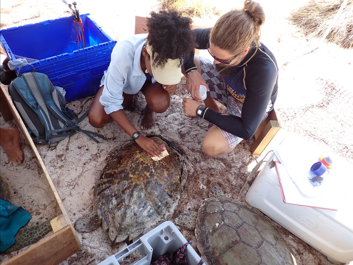 SIF_Seychelles's tweet photo. The first #SIFNewsletter of the year is out! 

Check out the latest updates as we kicked off 2022 here: https://t.co/sZGrQVzjiJ. Updates on #blackparrot season on #Praslin, projects ending and beginning on #Aldabra, and testimonials from our long-serving staff! https://t.co/7vkfBJw1H0