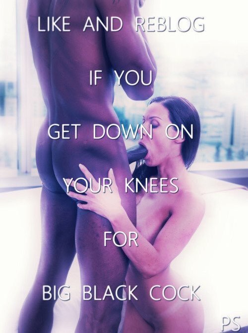 TWSissy's tweet photo. Retweet if you wish to be The Perfect Sissy 💁🏼‍♀️💞

Sissy Training: https://t.co/EQEykza4pU💘 https://t.co/J7I1gcO2Ao