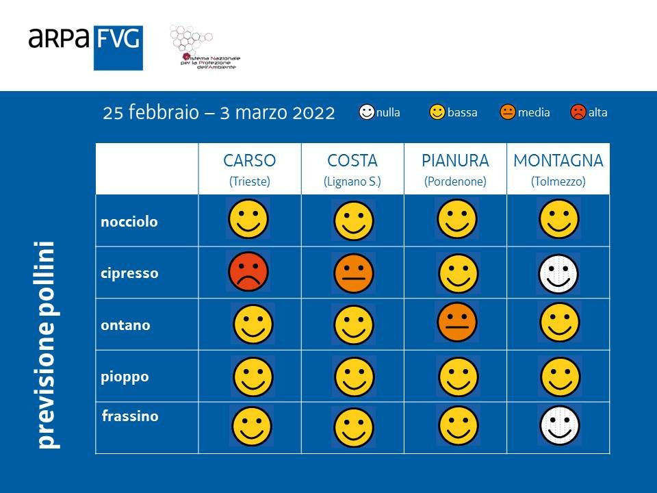 ARPAFVG's tweet photo. L'aria si carica di pollini in #FriuliVG. #pioppo, #cipresso, #ontano, #frassino. Vedi la news di #polliniFVG: https://t.co/ZuSYrhIn43
#POLLnet
#pollen https://t.co/GQ8YS0wTFG