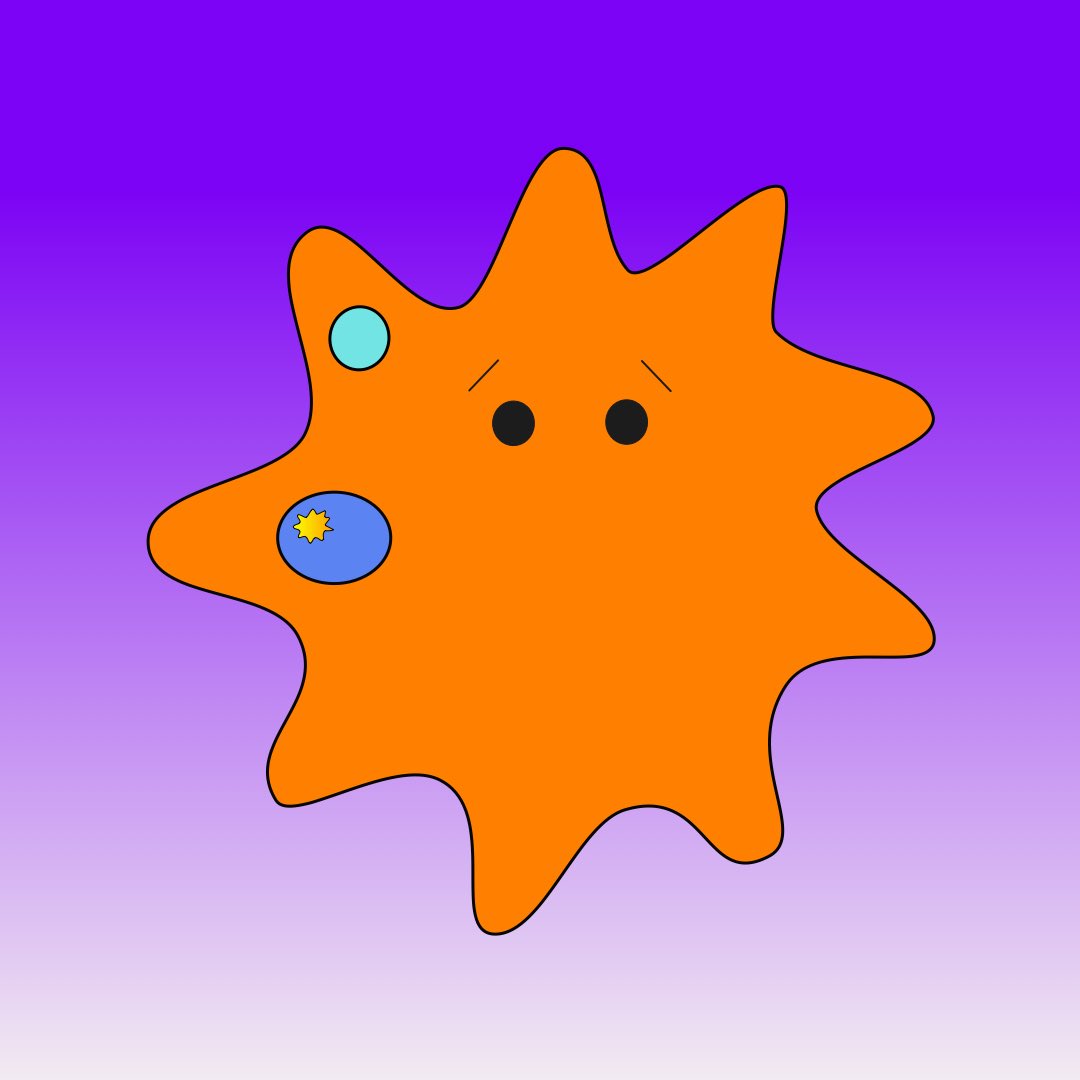 The Amoebas tweet media