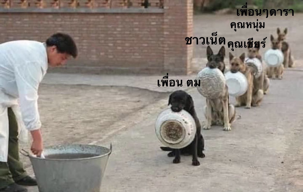 NTIiolP8893's tweet photo. เอ้าทุกคนจากสัมแม่วันนี้ ก็เรียงแถวกันมาเลยสิคะ 😓😓  #โหนกระแส #แตงโม #แอนนา https://t.co/VbobX2AdsH