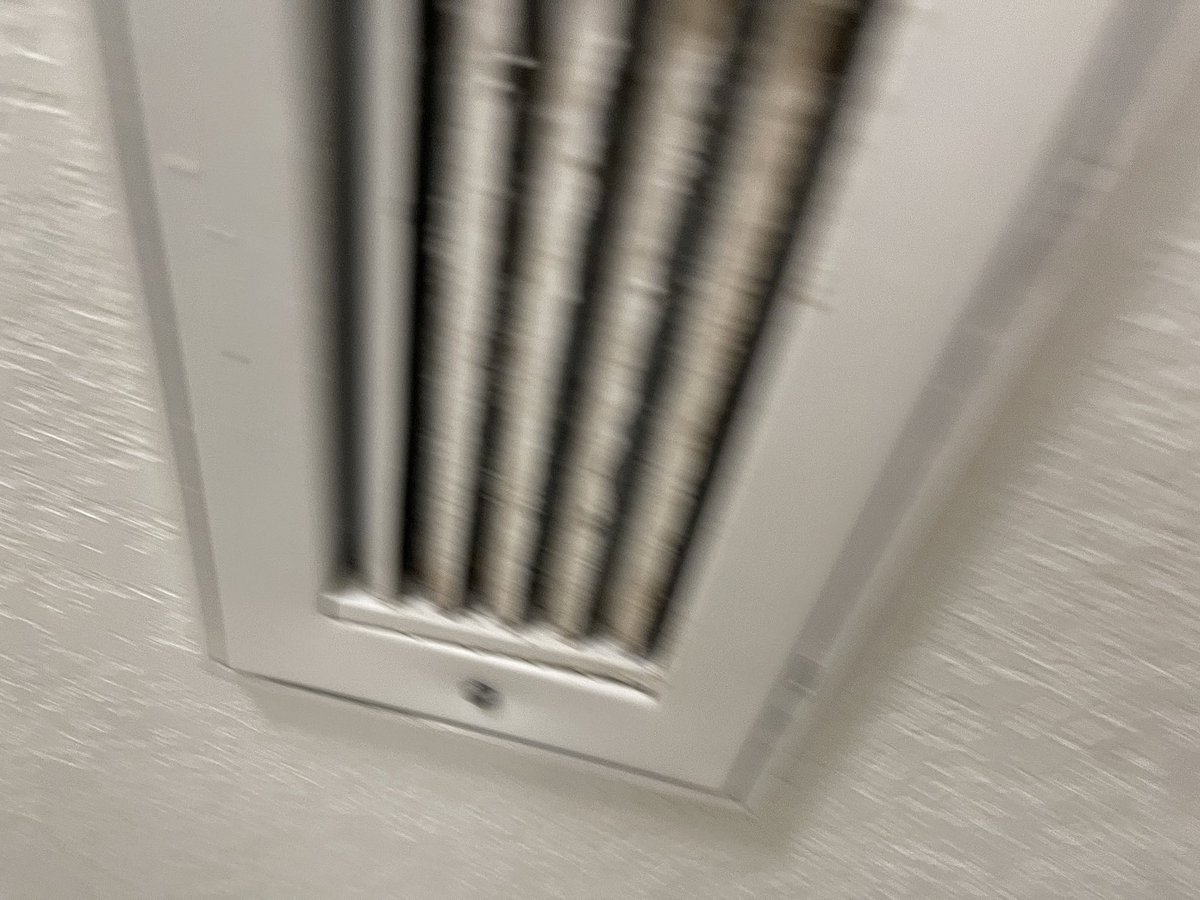 MONKEY BALLS tweet media