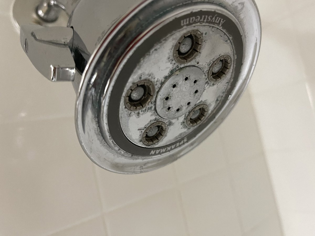 MONKEY BALLS tweet media