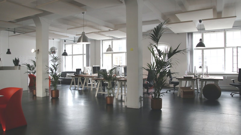 SelfCleanUK's tweet image. As more of us head back into office environments, here's an article called "5 Ways to Clean Omicron to ensure Office Safety"
bit.ly/3vp1UAM
 #Business #Health #Omicron #Work #People #Office #facilitymanagers