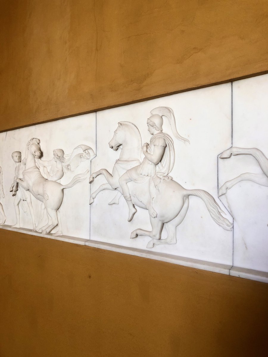 IsabelleFeliu's tweet image. 🐎 💫