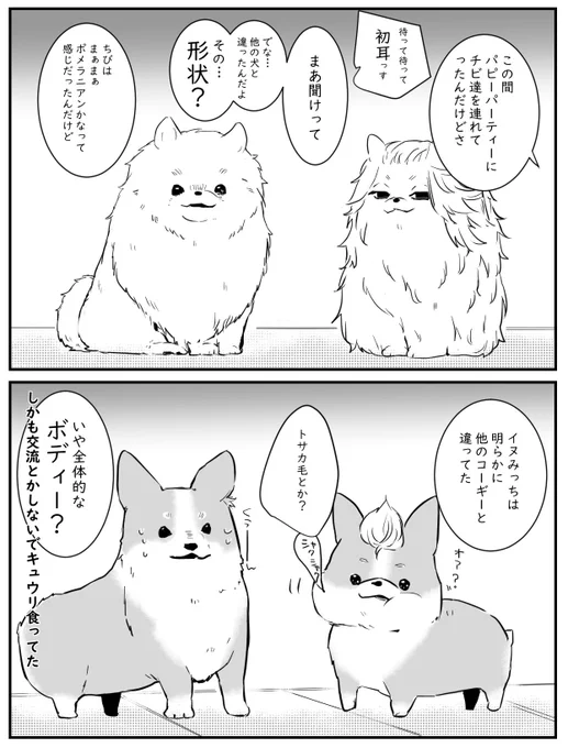 rkgk マイ武さん家の🐶小話 