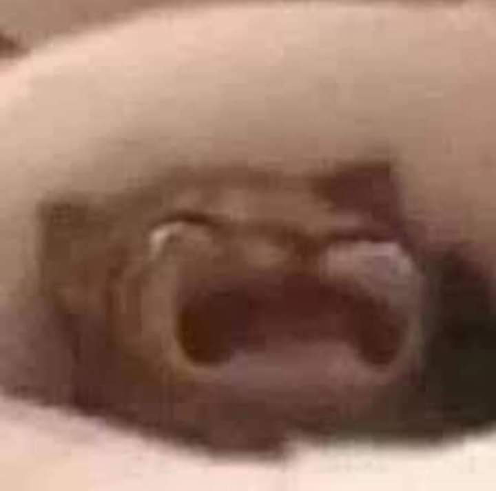 alejandroSorry9's tweet photo. @mabeliuxxx Tantas cosas y escogiste la peor para destruirnos 🥺🥺🥺 https://t.co/pdQ8HvapTs