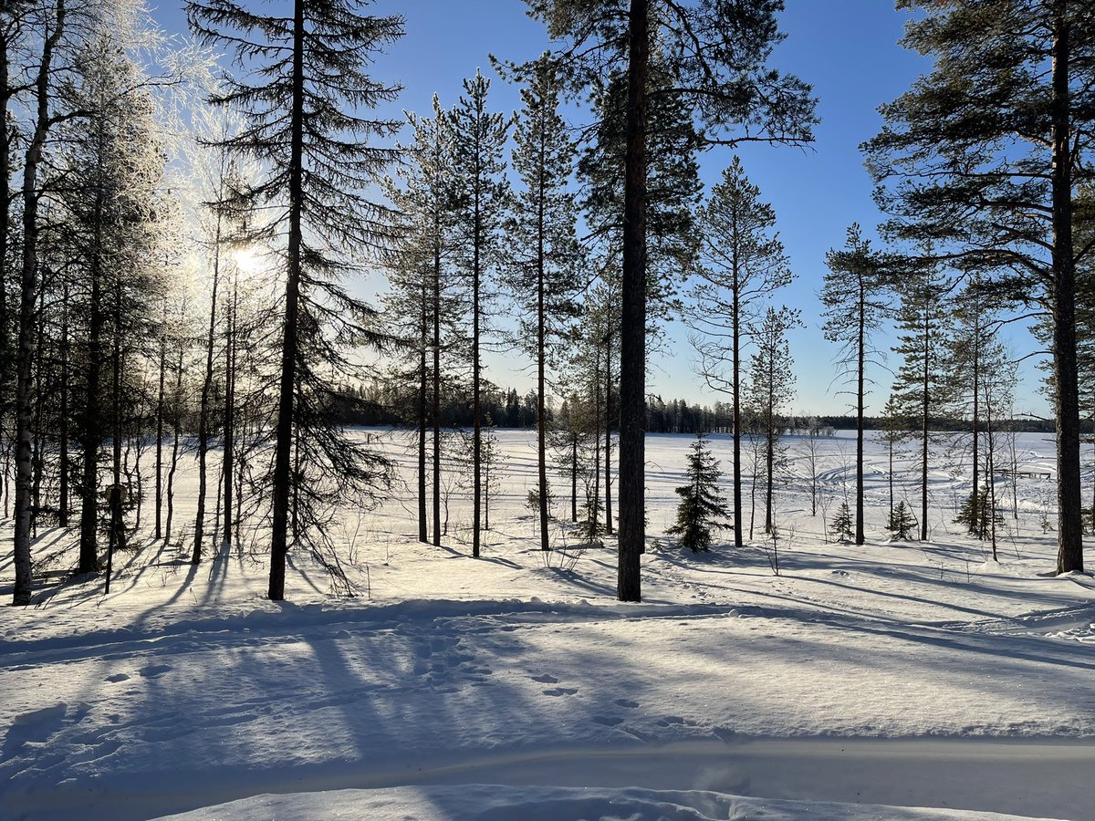 janne_ylinen's tweet photo. Tämä on ollut operaatioiden hiihtoloma!😅 Perinteisen lasten rinteeseen kuskausoperaation lisäksi on kauppias huolehtinut avustusoperaatiosta (rekka eilen purettu Ukrainassa)😄🇺🇦🙏 ja made in 🇷🇺 tuotteiden poisvedosta. Jälkimmäinen on ollut yllättävän haastava #operaatio . https://t.co/GiRUk6y1HI