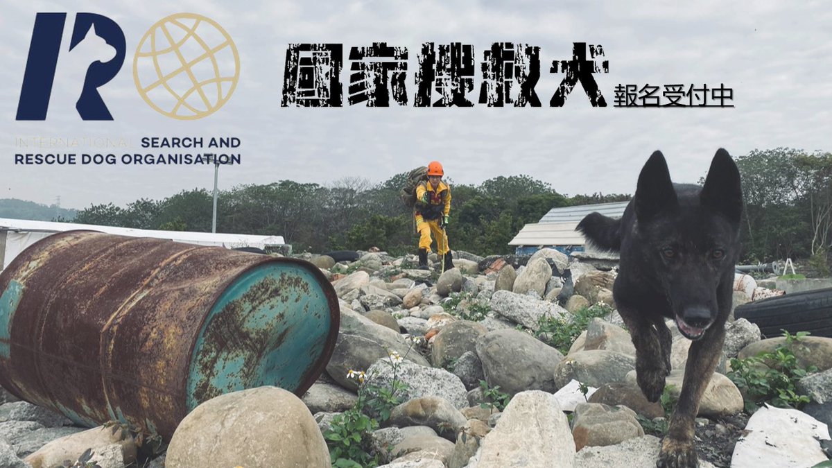 Arloar Arloar1 Twitter