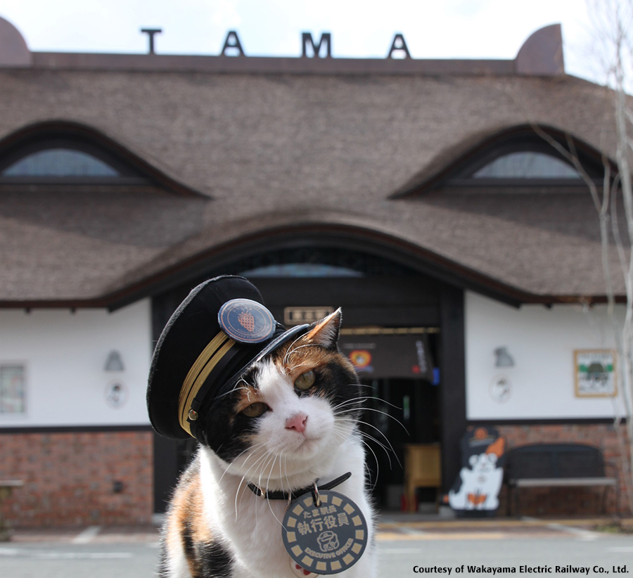 たま駅長　招き猫　置物　和歌山電鉄 和歌山電鉄の初代猫駅長「たま」のパネル、3駅に…ポストカードが