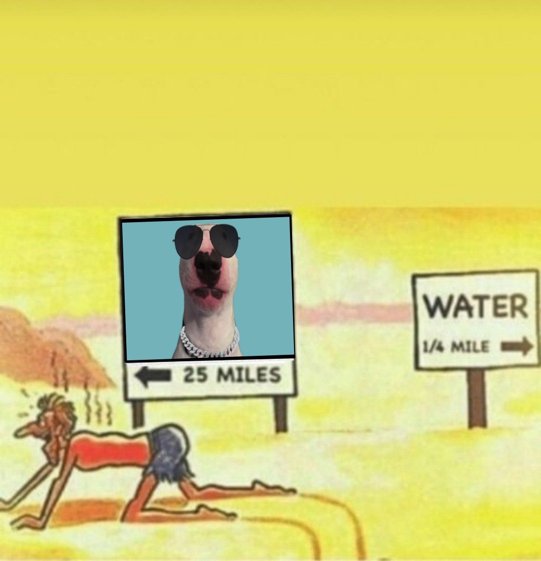 Alex tweet media