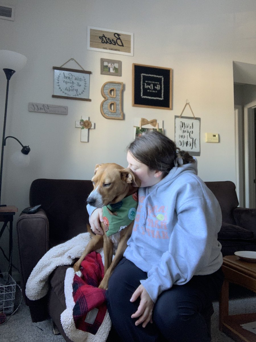 barkinbeets's tweet photo. just some post walkies time photos 🥰 #DogsofTwittter https://t.co/pCPuIZOLZp