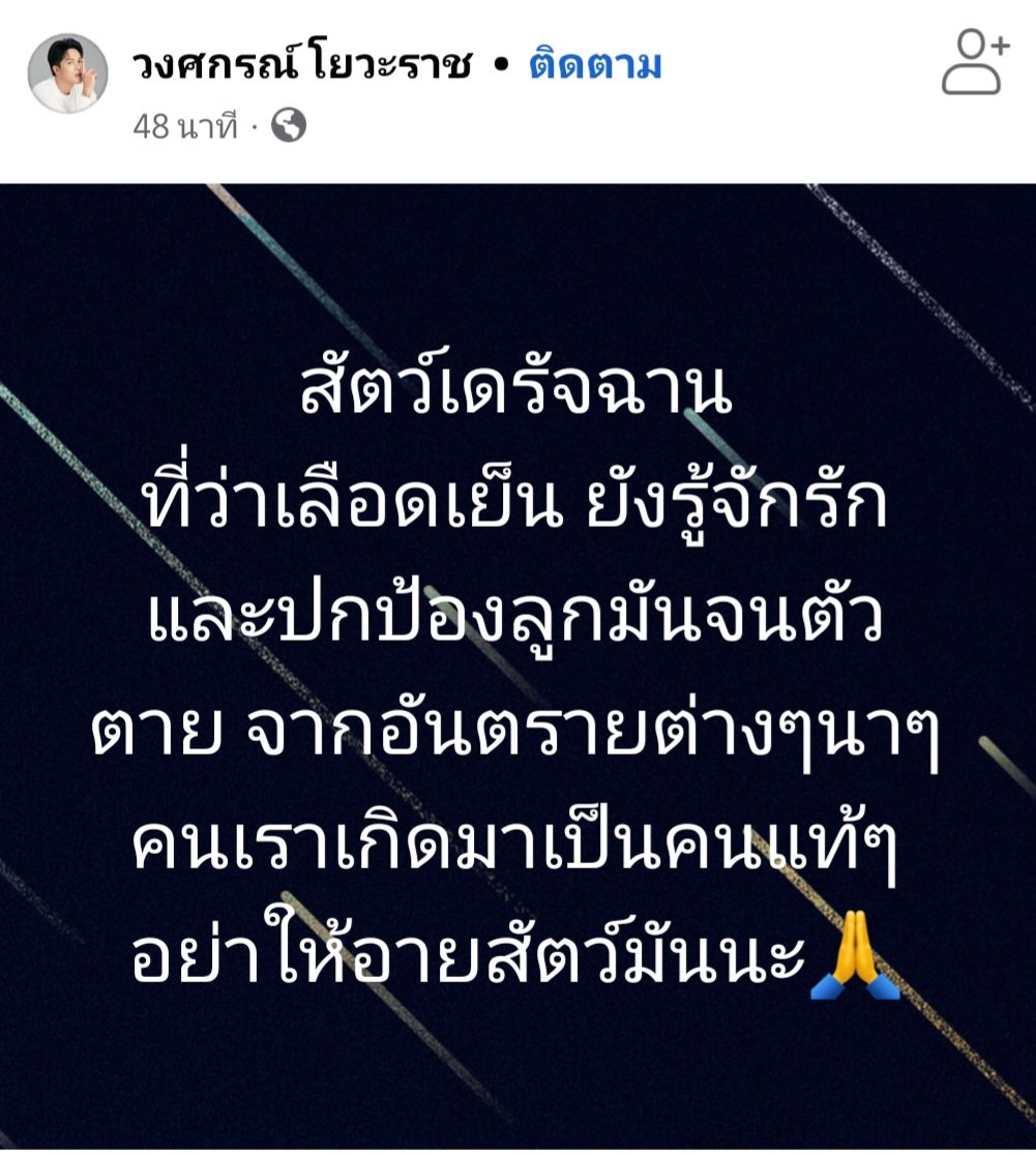 เจ้าเหมียวเฝ้าจอ😸 tweet media