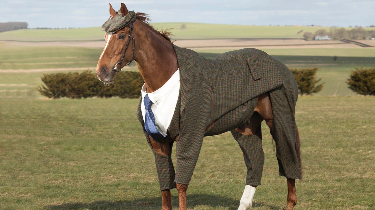 🐎 İngiltere’de düzenlenen Cheltenham Festivali için takım elbise giyen Morestead adlı bir yarış atı.