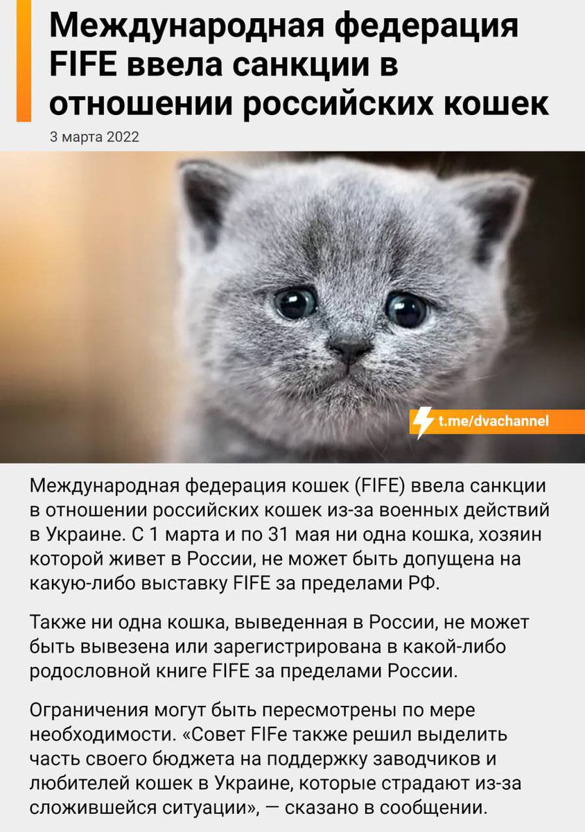 leprasorium's tweet photo. Если вам кажется, что с российскими инвалидами, которых не пустили на паралимпиаду это перебор, то: https://t.co/qewIWDmQM5