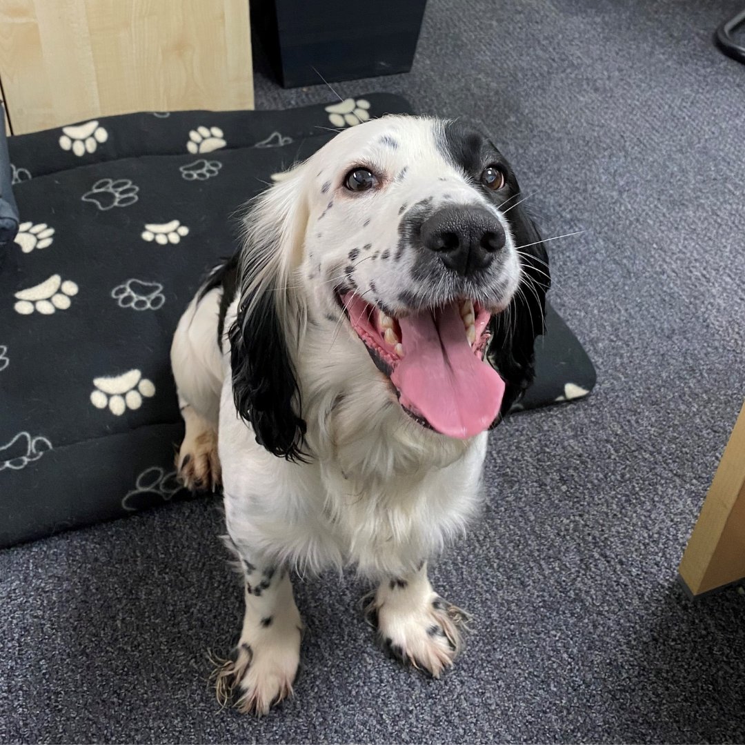 Cloud Business tweet media