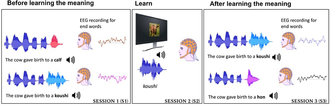 tweet4sri's tweet photo. How does the brain comprehend new words from a foreign language. 

Our study, "ERP Evidences of Rapid Semantic Learning in Foreign Language Word Comprehension", accepted in @FrontNeurosci attempts to answer this q.

https://t.co/x8AXZcZ0Yj 
Congrats to @aksharasoman 
@LEAP_iisc https://t.co/5103yLUIvo