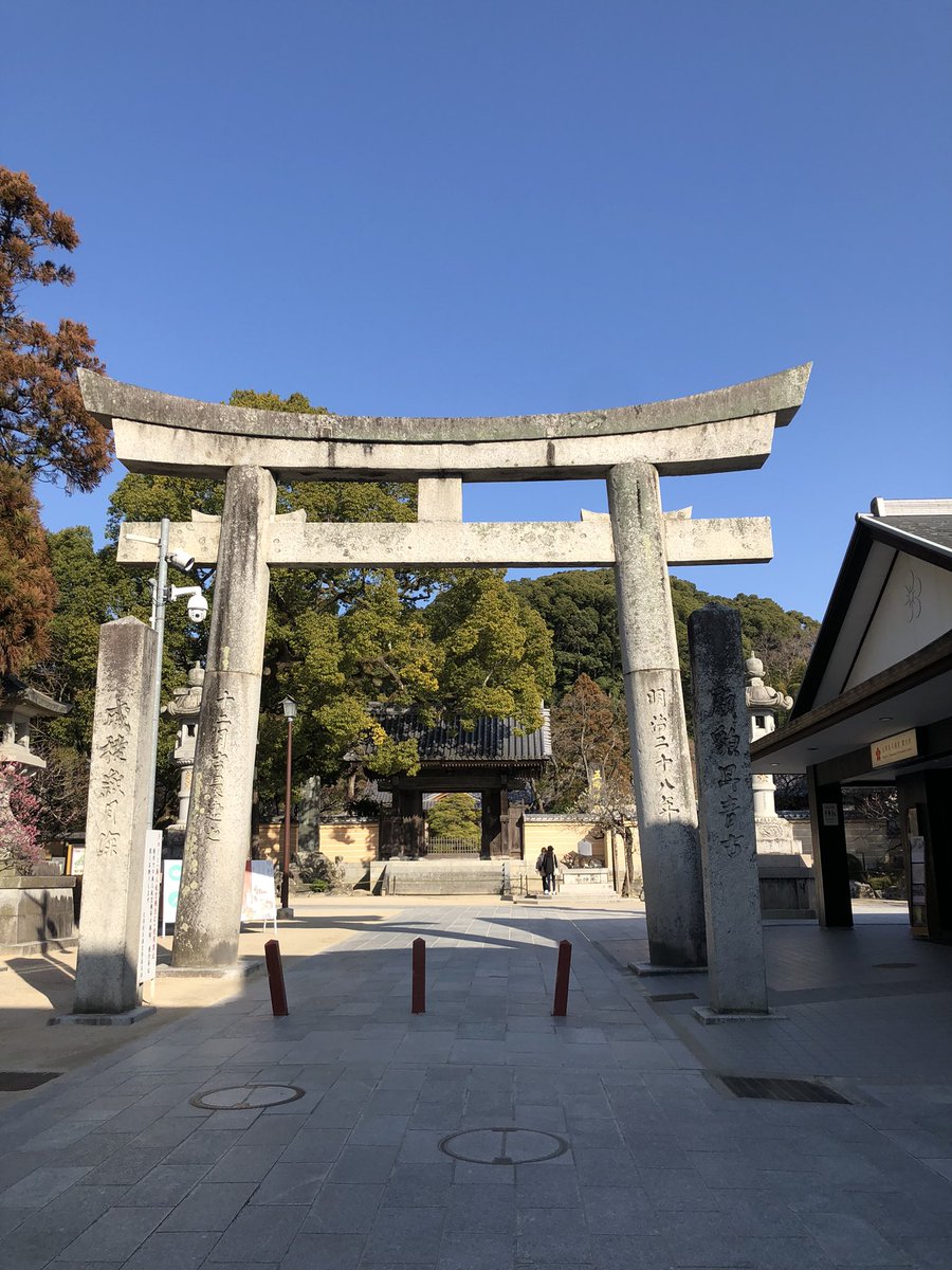 ryu_YZFR7's tweet photo. まだ梅が見頃ということで https://t.co/uv3CadXYEF