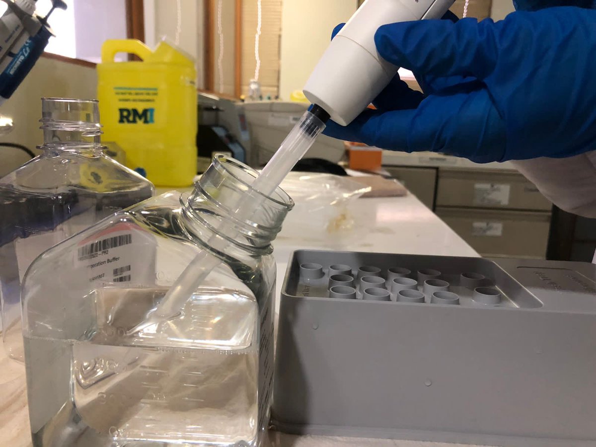 cgs_rmi's tweet photo. Today was dedicated to taking care of our #MiSeq machine.
#maintenance #wash #DNAreading #lllumina #genomics #sequencing https://t.co/NUG1xUlpf7