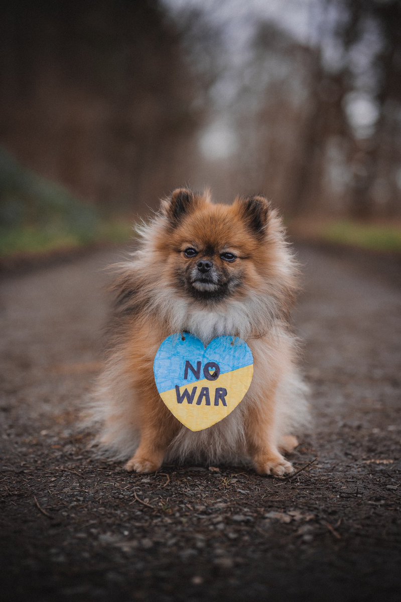 BUBBLES ♀ tweet media