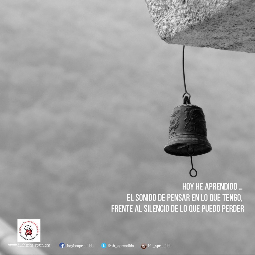 hh_aprendido's tweet photo. El sonido de pensar en lo que tengo, frente al silencio de lo que puedo perder
.
.
.
.
.
#sitegustasigueme #duchenne #desafioduchenne #hoyheaprendido #frasedeldia #dmd #musculardystrophy #nonprofit #reflexiones #phraseoftheday #frases https://t.co/eMU0TzXlU7