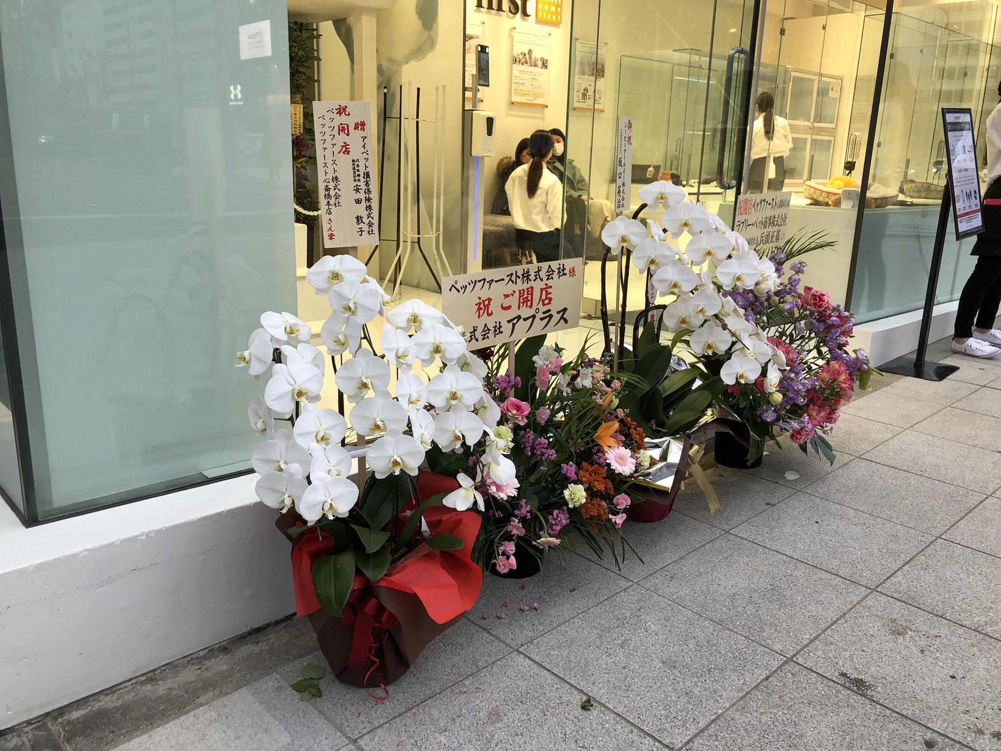 Tsukibito 心斎橋新橋交差点角にペットショップオープンっ ビジネス街にペットショップ 意外と売れるかも 仕事のストレスをペットで癒す アンタ 買ったらあかんで 小田さんのツアーが始まったら留守になるのに誰が世話するねん 心斎橋 ペッツ