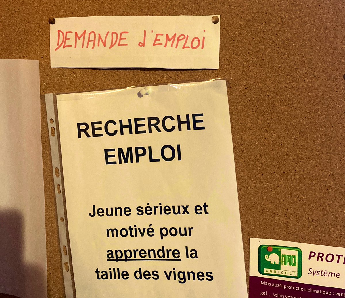 Hoy toca Madiran <a href="/Vins_de_Madiran/">Vins de Madiran</a>, seguimos comunicando la importancia del #injerto y #poda para alargar la vida de las viñas <a href="/Vqualitas_es/">VITRES</a> <a href="/Vqualitas_fr/">Vites Qualitas Fr</a>
Contentos por estar en una zona tan interesante, y más todavía por ver que hay gente ‘seria y motivada’ por aprender a podar☺️