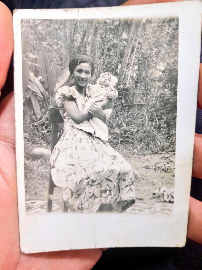 𝕷𝖊𝖚𝖑𝖆𝖓 tweet media