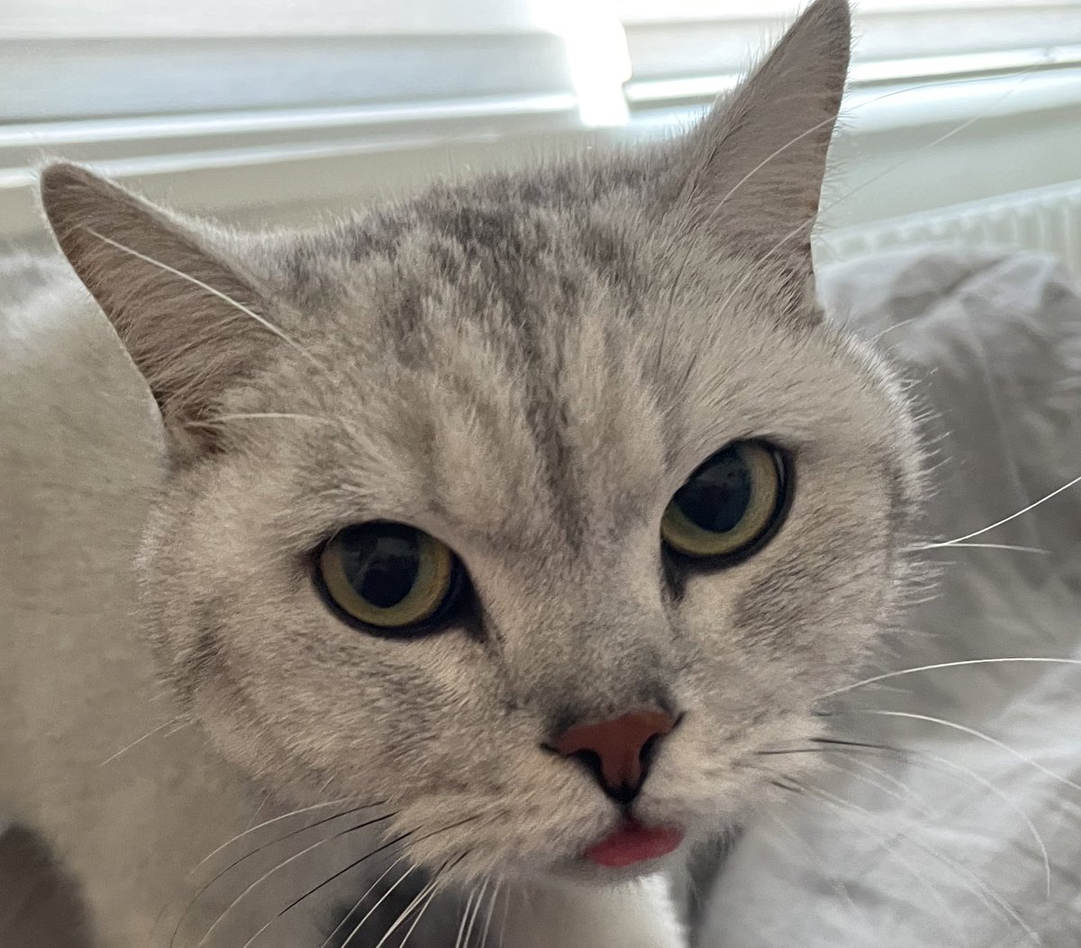 Öööö