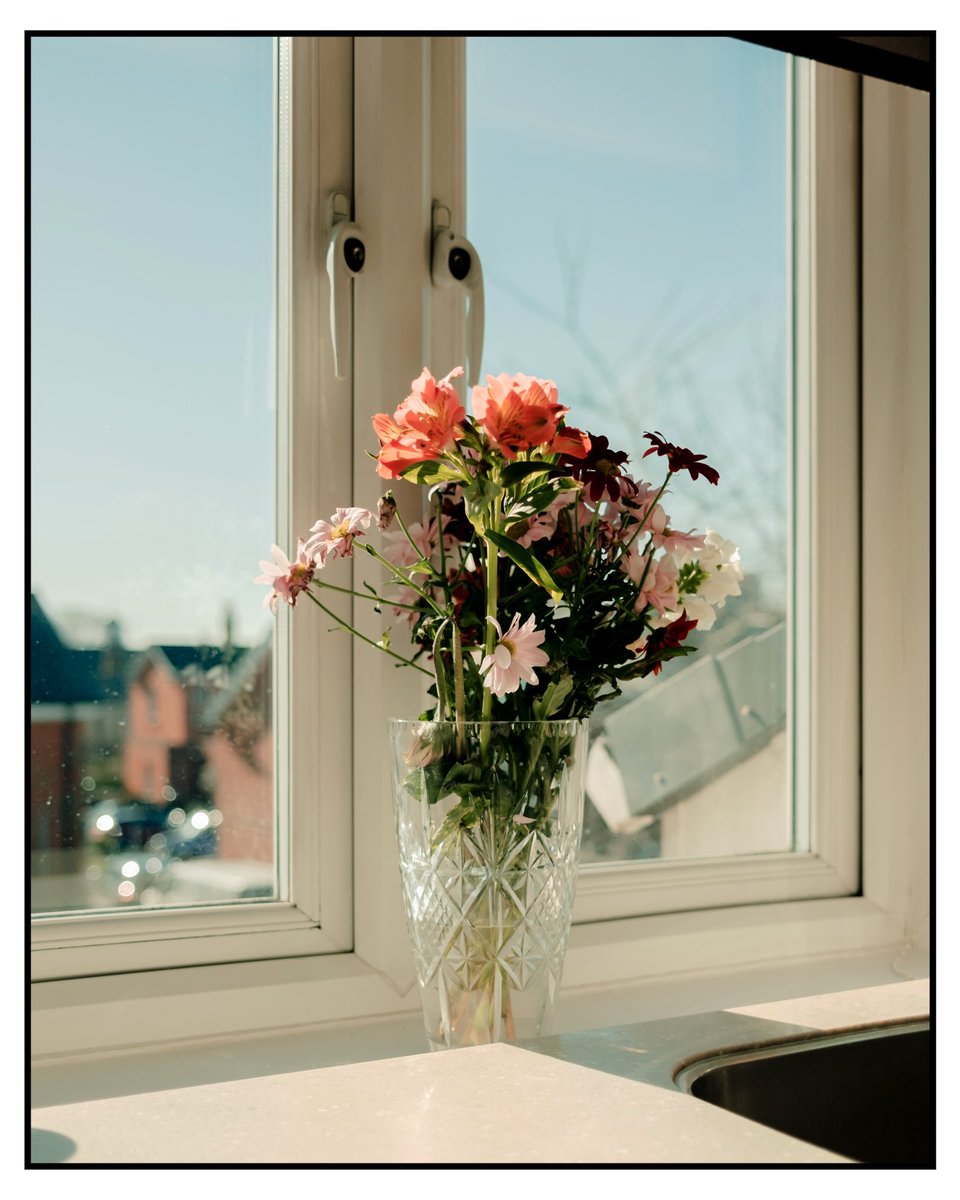 jpegchris's tweet photo. 💐 https://t.co/YgNmESlwgT