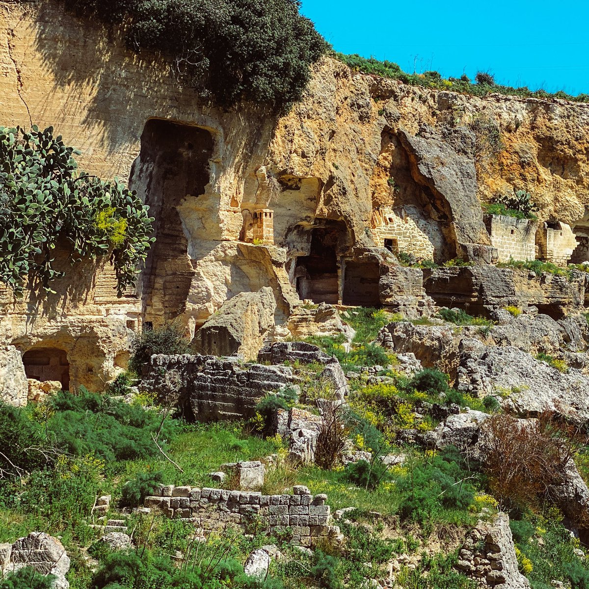 VisitGinosa's tweet photo. L’insediamento rupestre il Casale ha rappresentato sin dal medioevo, la massima espressione di quel vivere in grotta. È un luogo che ancora oggi resta autentico in un ambiente naturale.
Scopri: https://t.co/nV5U2A3z1g

#viaggiareinpuglia #italia #puglia https://t.co/aadzlWZIkx