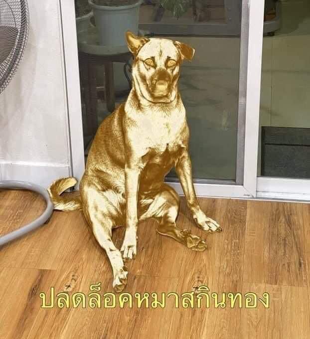 ทัชใจ tweet media