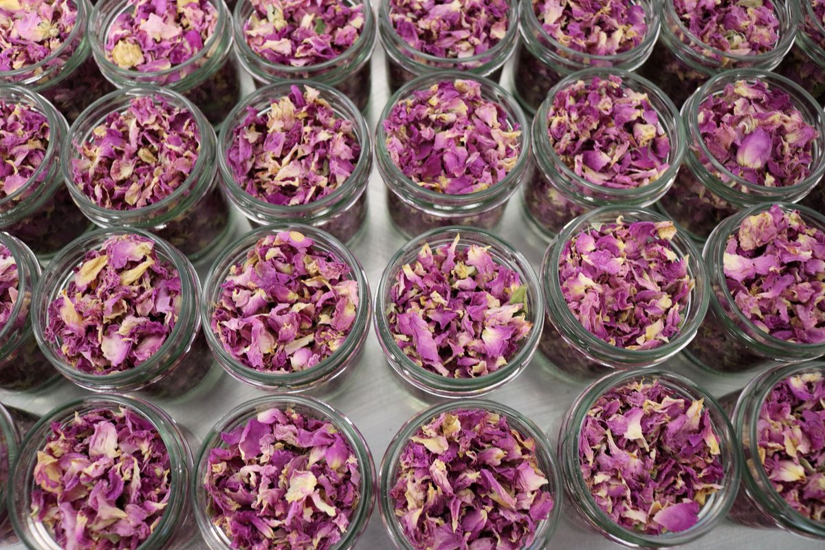 Steenbergs The Sustainable Spice Company tweet media