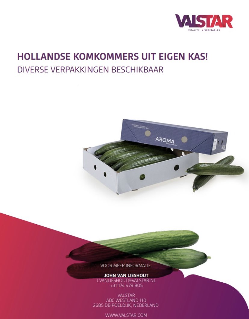 <a href="/Valstar_Holland/">Valstar Holland</a> 👇