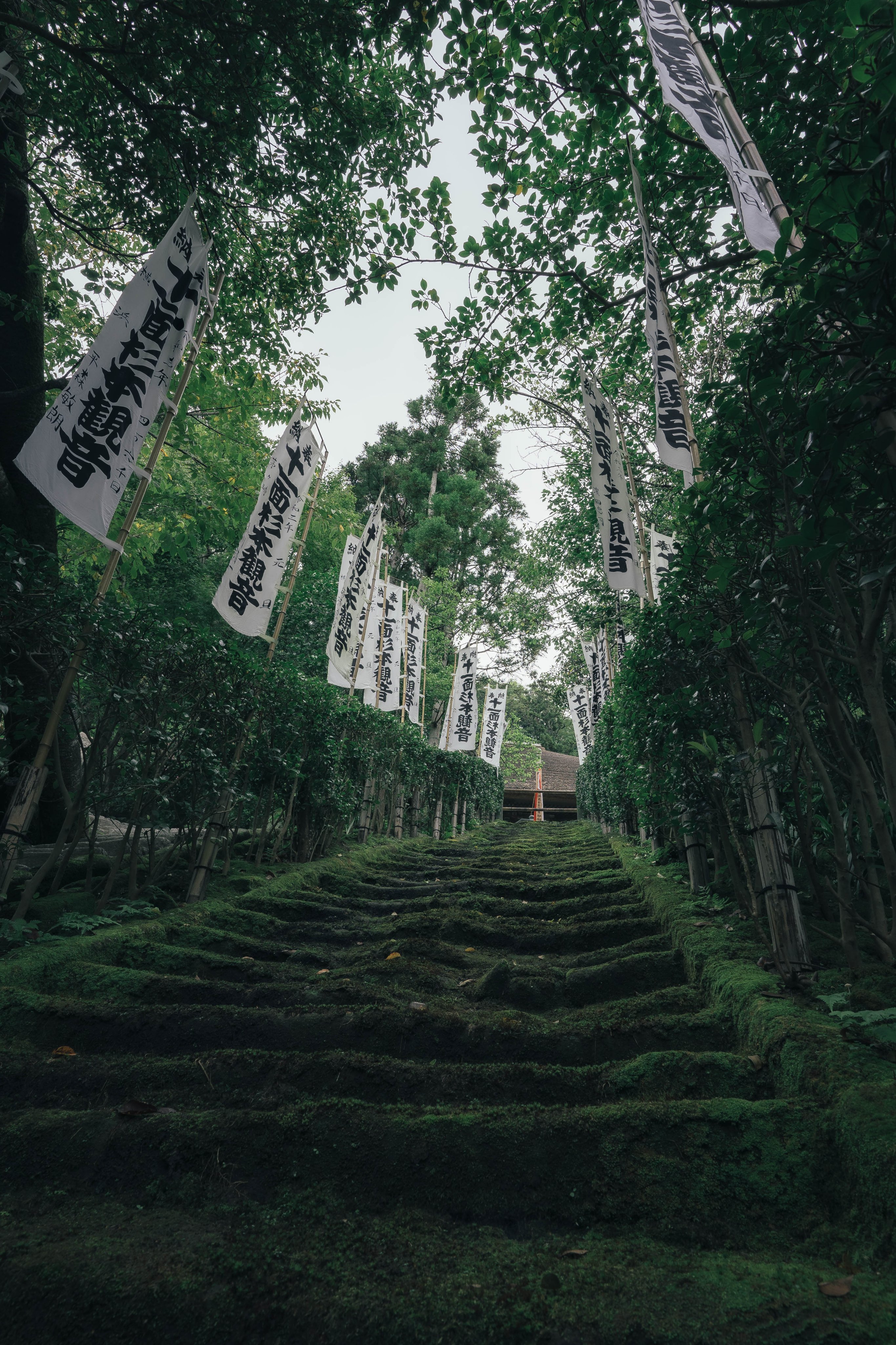 Yuuui 鎌倉にある苔の階段が美しい T Co Qqxdc6pzmd Twitter