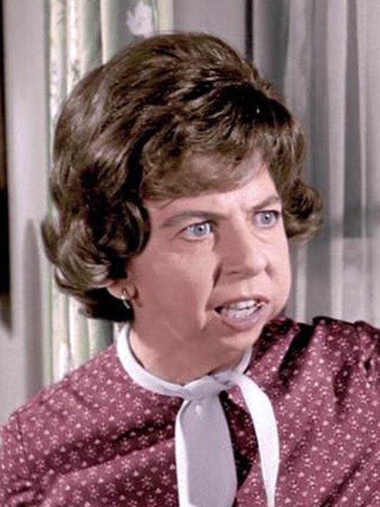 TimeLordDrew61's tweet photo. Remembering Alice Pearce, who passed away on March 3rd in 1966. Best remembered for playing Gladys Kravitz in Bewitched, She sadly passed away from cancer at the age of 48. She was awarded the Emmy for Outstanding Supporting Actress in a Comedy. #AlicePearce #Bewitched https://t.co/GMH44XDj5F