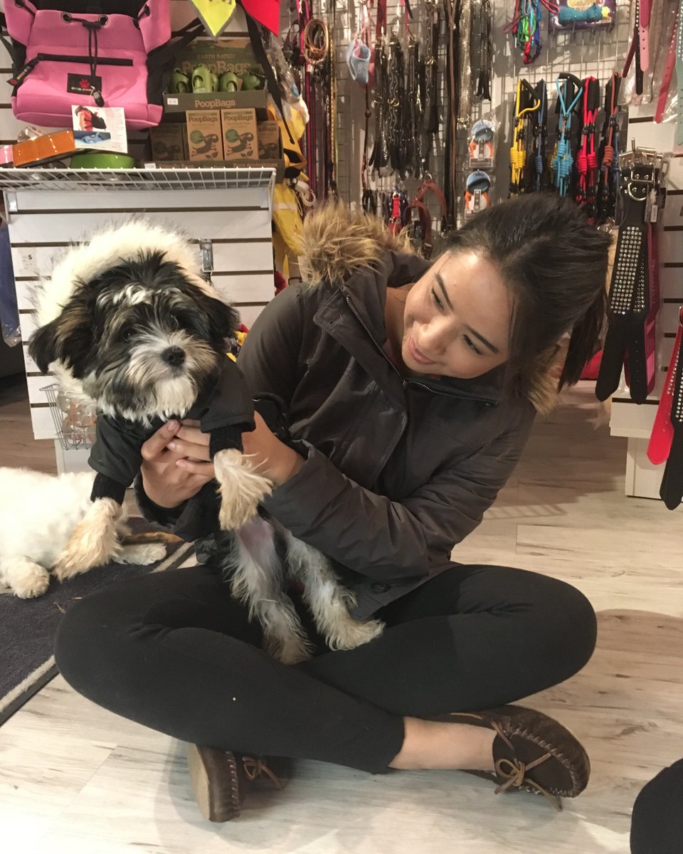 neopaws4pets's tweet photo. How do you feel baby?

Neo-Paws Fashion Clothing

Visit us at https://t.co/xJ8aTdsxHV and Shop the Quality Material Dog Leashes

#Neopaws #NeoPawsInternational #dogfashion #dogapparel #dogclothes #dogwear #dogaccessories #dogsupplies #dogcoat #dogshop #petaccessories https://t.co/lnRyblmQ4f