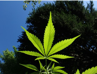 Makelaardij gaat de strijd aan met #woonfraude en #hennepteelt “Een gedegen screening begint al bij de makelaar” verhuurveilig.nl/makelaardij-ga… via 
<a href="/VerHuurVeilig/">VerHuurVeilig</a>
 
<a href="/SBWHnl/">SBWH</a>