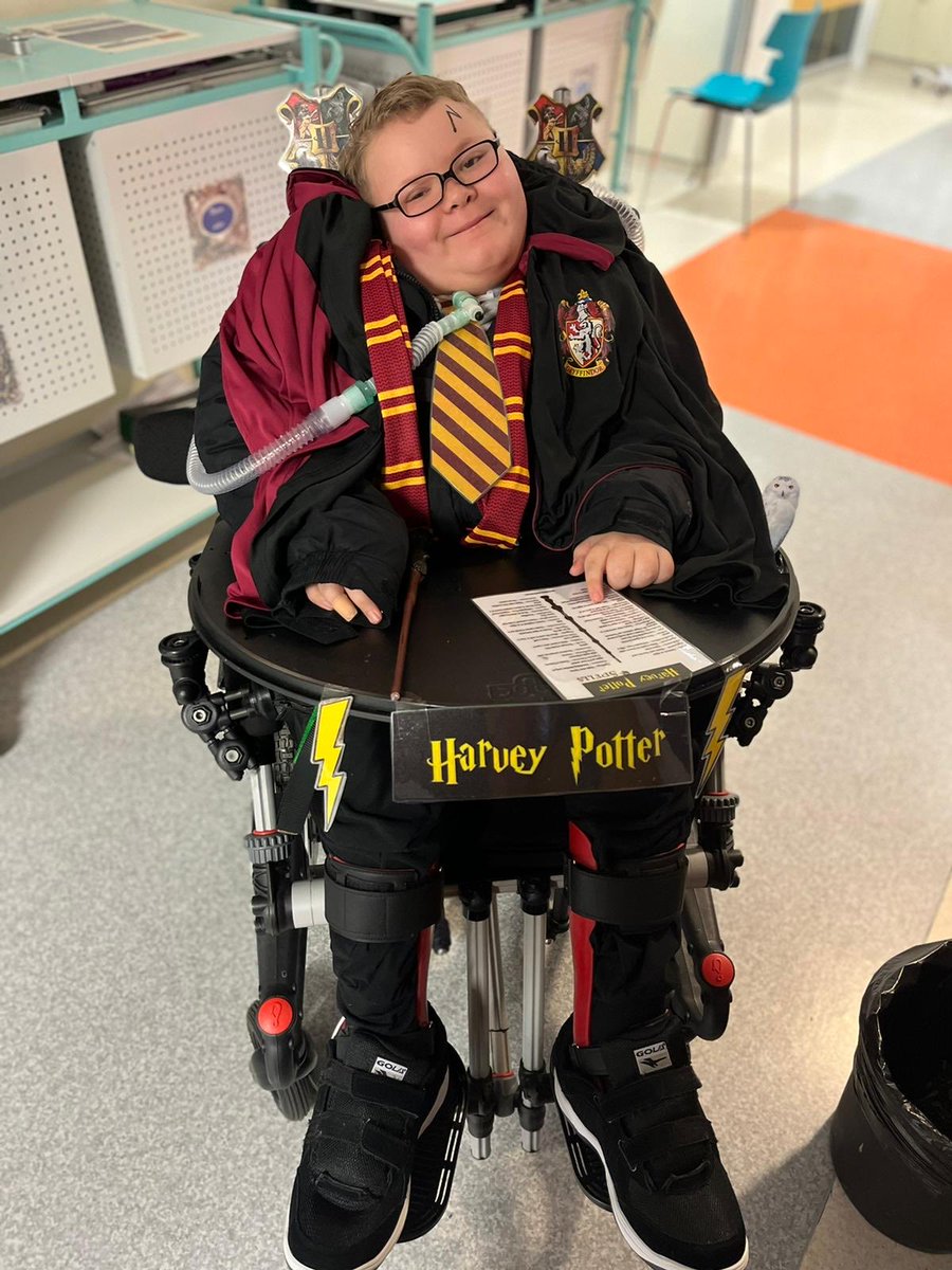 Harvey (although only to be called Harry today) ready to celebrate world book day 📚📖 🎭 well done and thank you team for working some magic  🪄🪄🪄