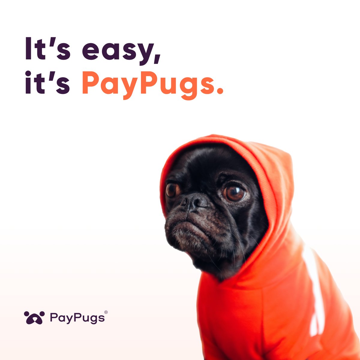 Growth is not possible without core company values 🚀
 
At Least not in the long term.
 
Values create culture.
Culture creates a brand. 
Brand creates community. 
 
Community leads to endless possibilities 🗻
 
See more about PayPugs
hubs.ly/Q014m9_b0 
 
#PayPugs #fintech