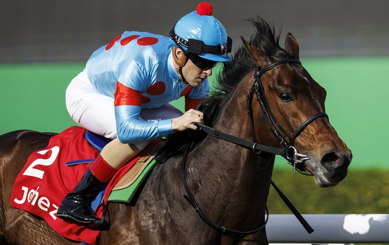 TGRankings's tweet photo. TRC weekly industry digest.
- One-eyed gelding #UnOjo into @KentuckyDerby reckoning
- Heavy fines for HK trainers
- 11th G1 win for @cwallerracing's Verry Elleegant
- Guineas entries revealed
- Authority and Alenquer on course for Sheema
Full news: https://t.co/sQgqLoF1eN https://t.co/4lbhXdH6eA
