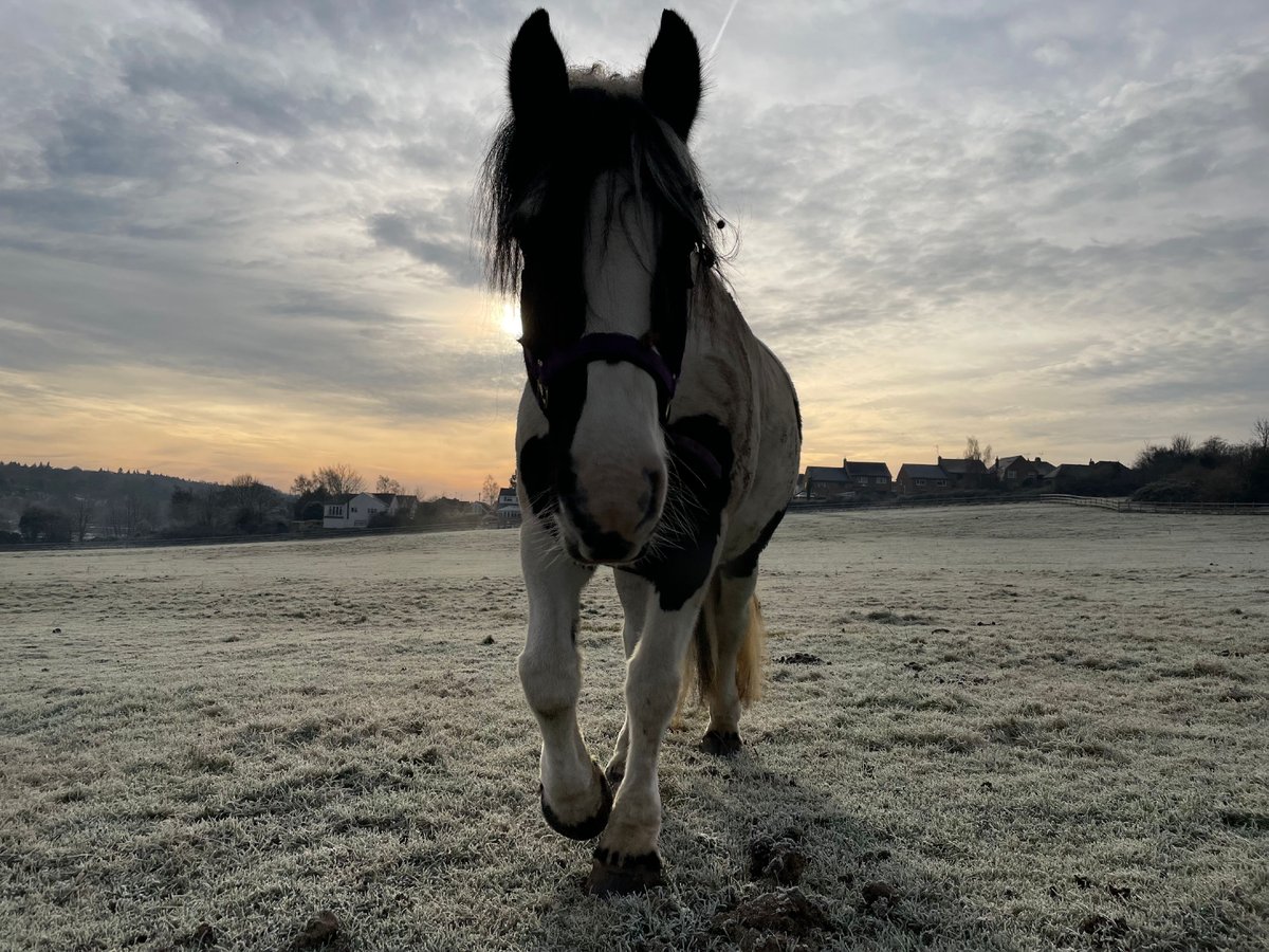 Winner for the Sixth form photography competition theme: Winter and Family 📷🌎

1st Eleanor 12S

Thank you for all the great entries. Keep being inspired and taking photographs! 😄